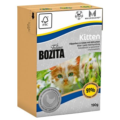 allevamento british longhair