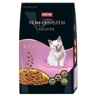  allevamento british longhair